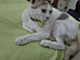 View full size picture