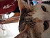 View full size picture