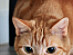View full size picture
