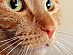 View full size picture