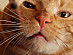 View full size picture