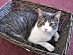 View full size picture