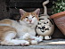 View full size picture