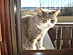 View full size picture