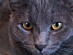 View full size picture