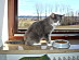 View full size picture