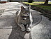 View full size picture
