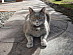 View full size picture