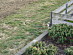 View full size picture