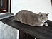 View full size picture