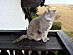 View full size picture