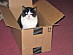 View full size picture