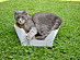 View full size picture