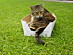 View full size picture