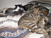 View full size picture