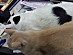 View full size picture