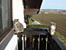 View full size picture