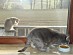 View full size picture