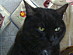 View full size picture