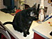 View full size picture