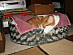 View full size picture