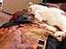 View full size picture