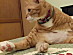 View full size picture
