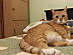 View full size picture