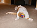 View full size picture