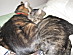 View full size picture