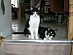 View full size picture