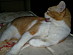 View full size picture
