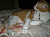 View full size picture