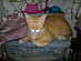 View full size picture