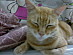 View full size picture