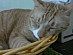 View full size picture