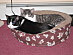 View full size picture