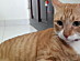 View full size picture