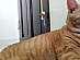 View full size picture