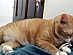 View full size picture