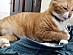 View full size picture
