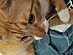 View full size picture