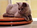 View full size picture