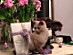 View full size picture