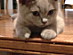 View full size picture