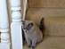 View full size picture