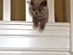View full size picture