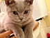 View full size picture