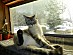 View full size picture