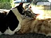 View full size picture